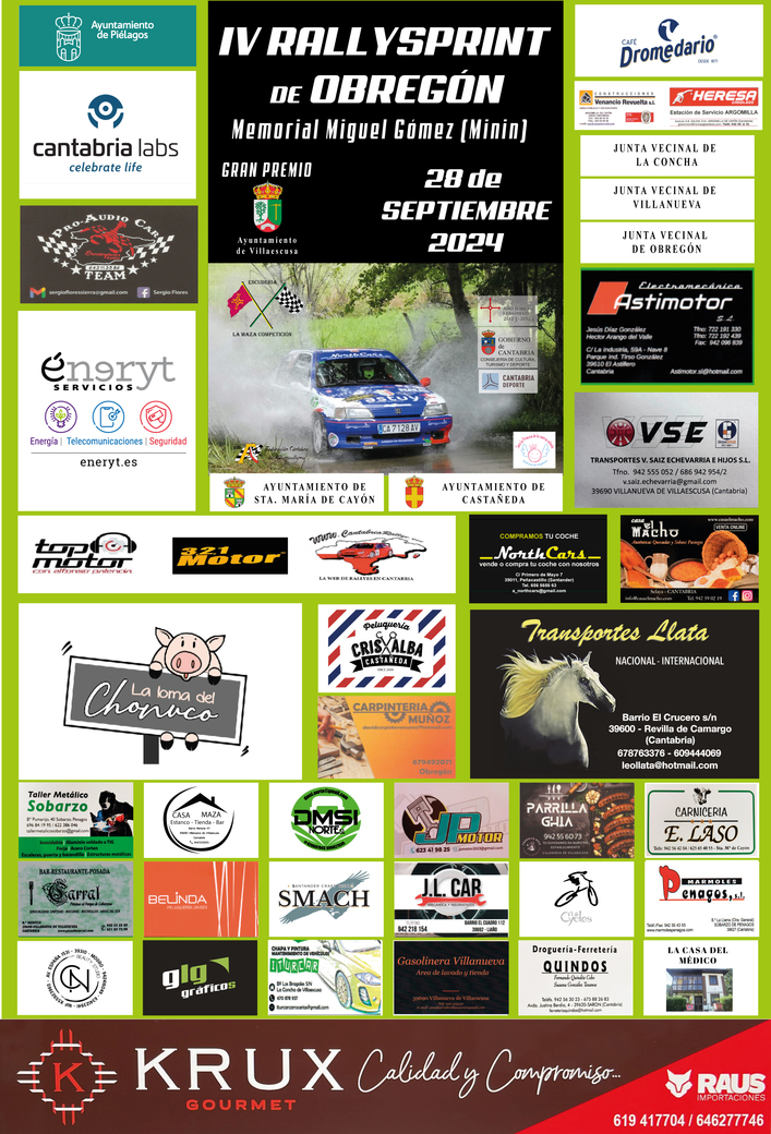 IV RALLYSPRINT DE OBREGÓN
